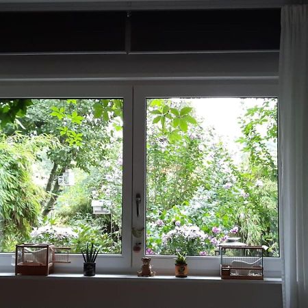 Ferienwohnung Hering In Dill Kültér fotó