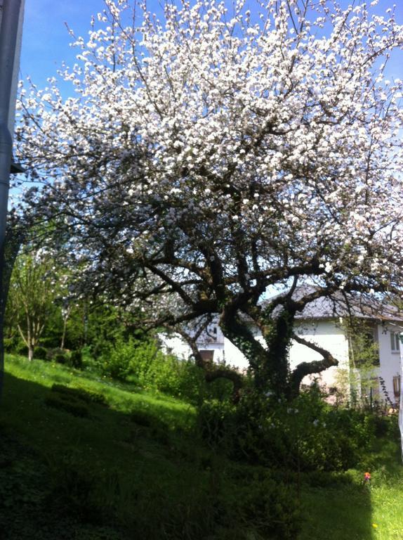 Ferienwohnung Hering In Dill Szoba fotó