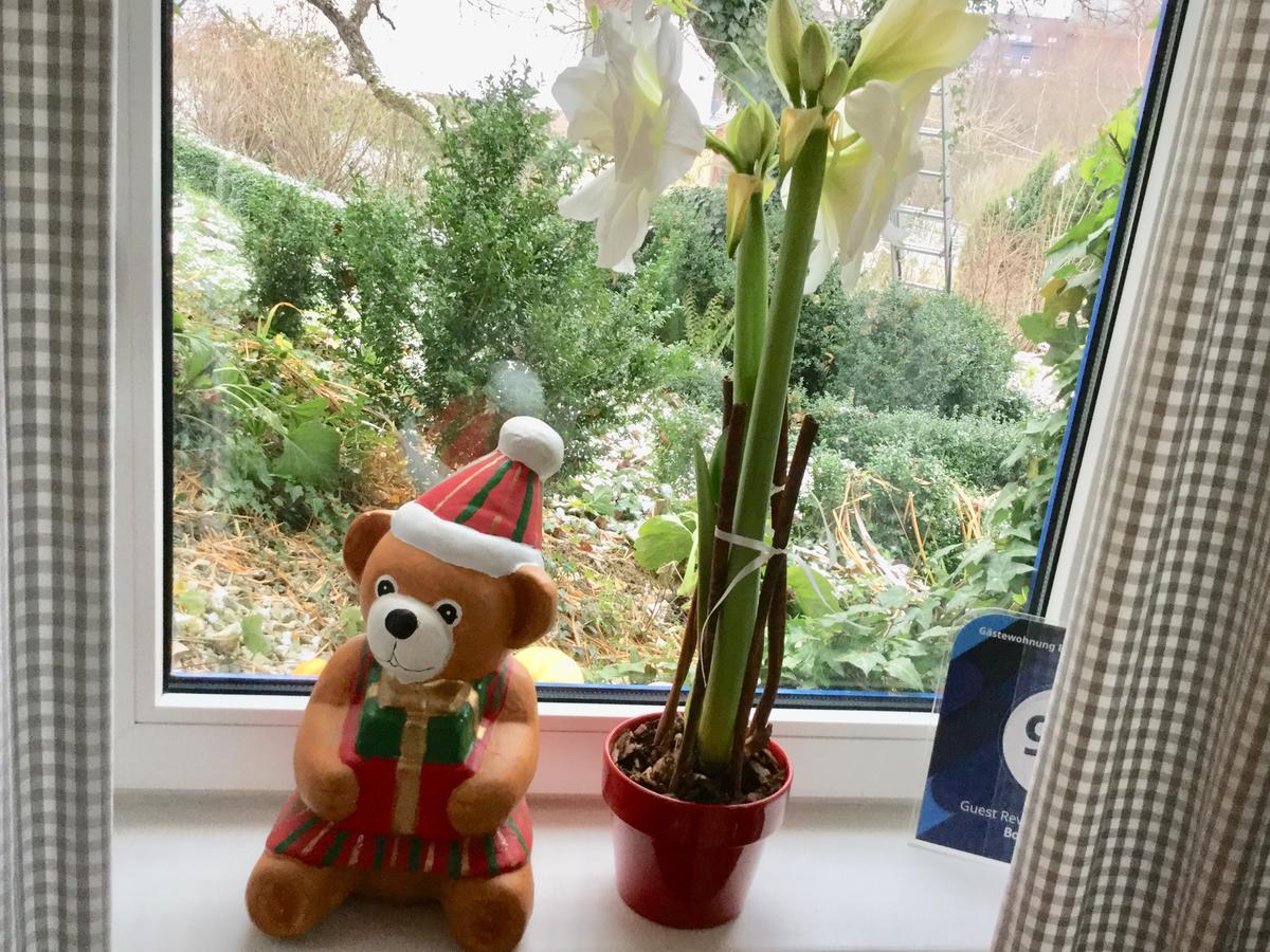 Ferienwohnung Hering In Dill Kültér fotó